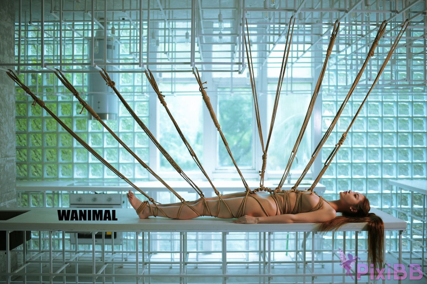 WANIMAL Wang Dong VIP Set of pictures Official product No.03 PixiBB.COM 129