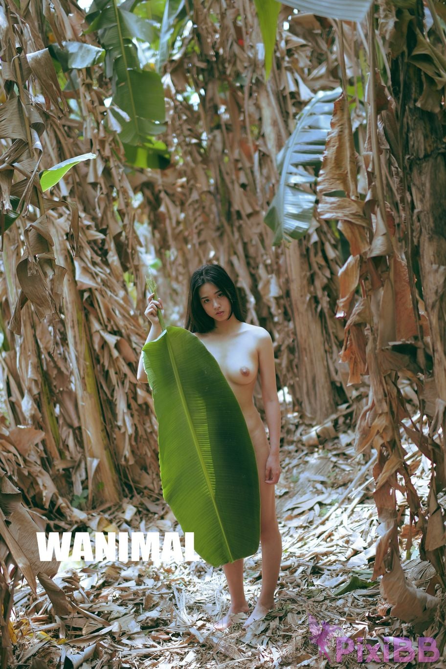 WANIMAL Wang Dong VIP Set of pictures Official product No.03 PixiBB.COM 151