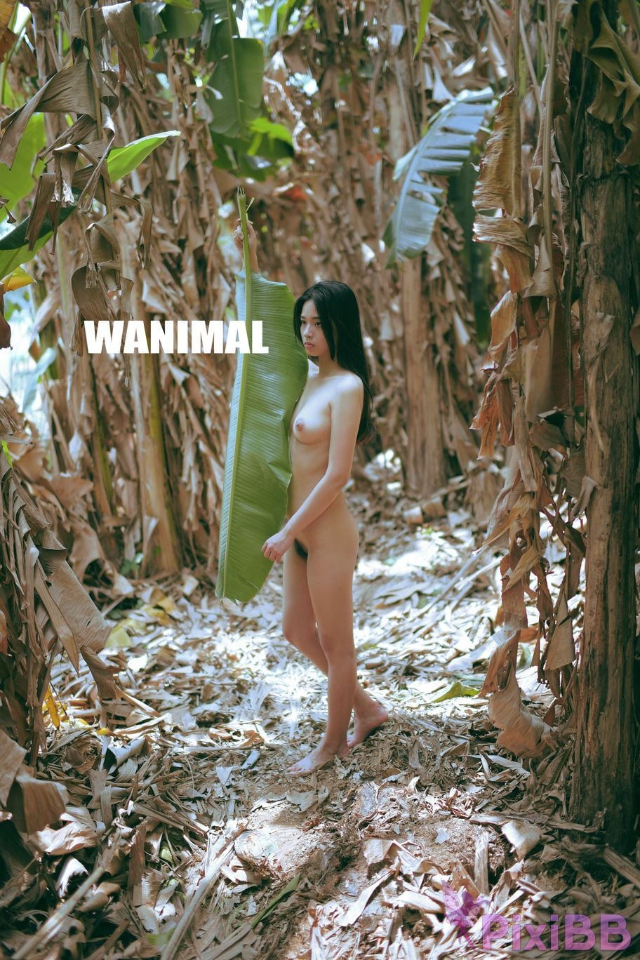 WANIMAL Wang Dong VIP Set of pictures Official product No.03 PixiBB.COM 152