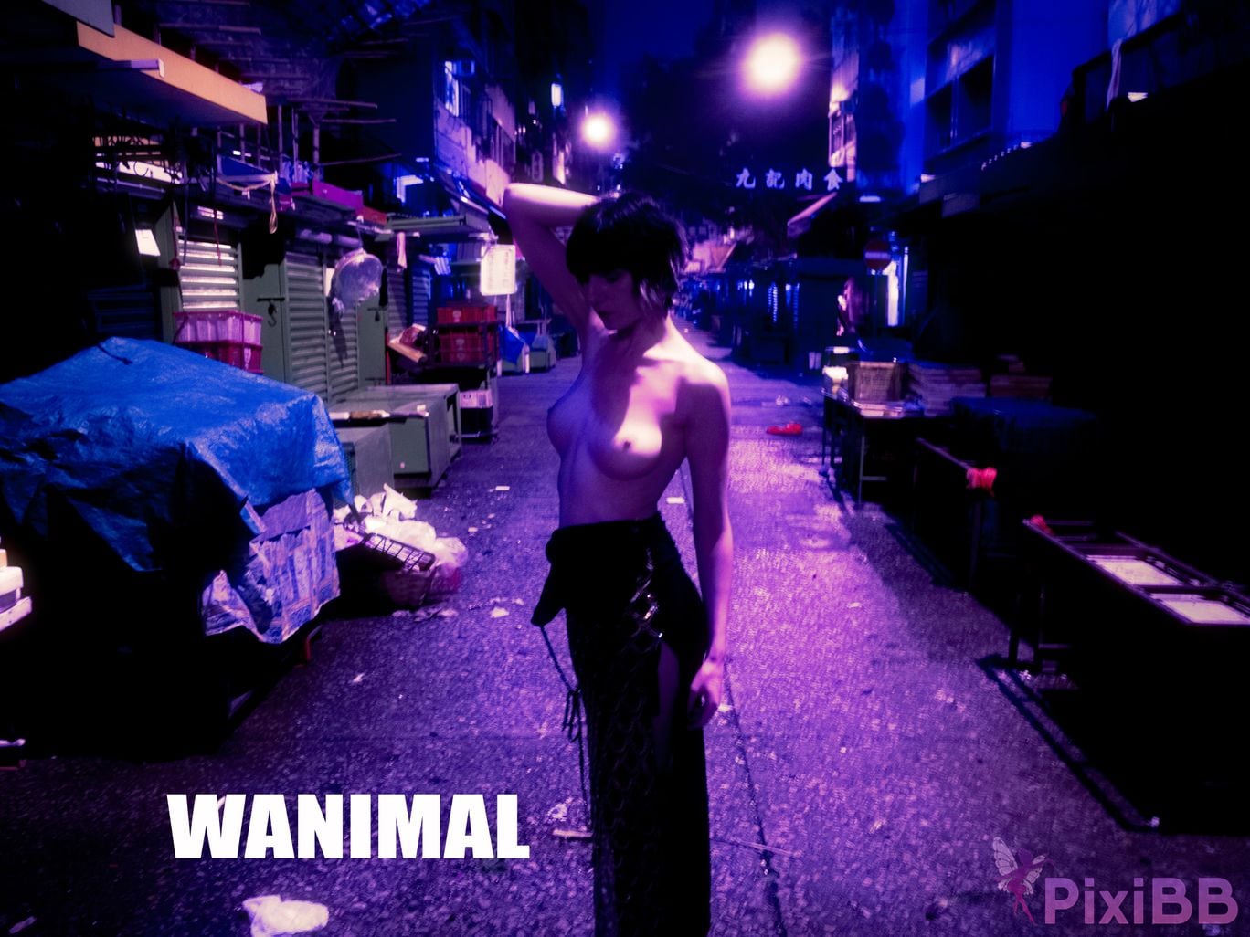 WANIMAL Wang Dong VIP Set of pictures Official product No.02 PixiBB.COM 001