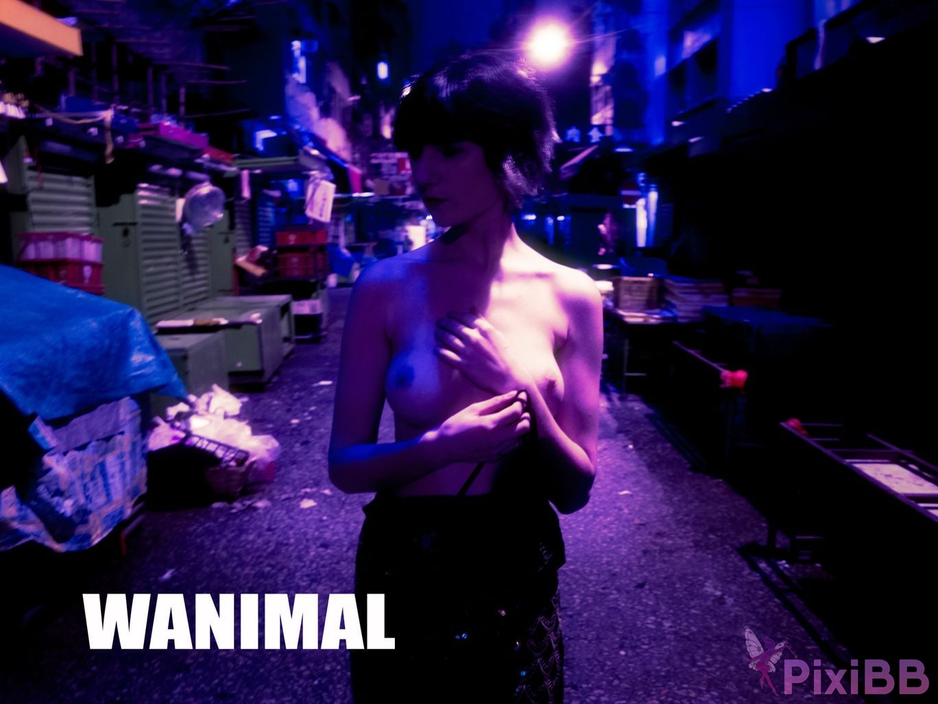 WANIMAL Wang Dong VIP Set of pictures Official product No.02 PixiBB.COM 002