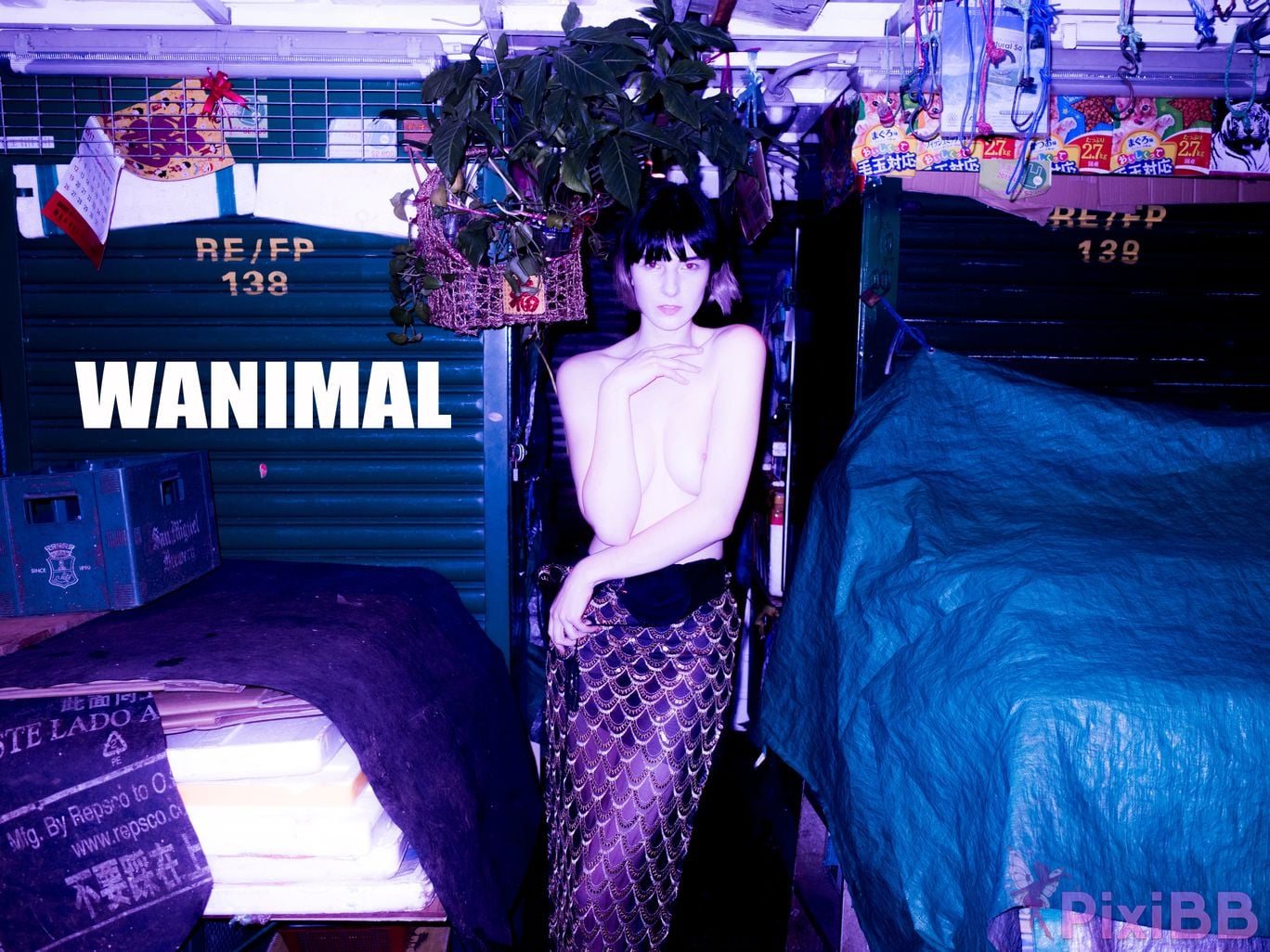 WANIMAL Wang Dong VIP Set of pictures Official product No.02 PixiBB.COM 003