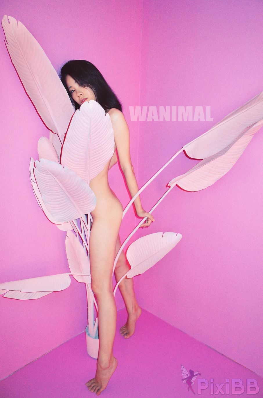WANIMAL Wang Dong VIP Set of pictures Official product No.02 PixiBB.COM 019