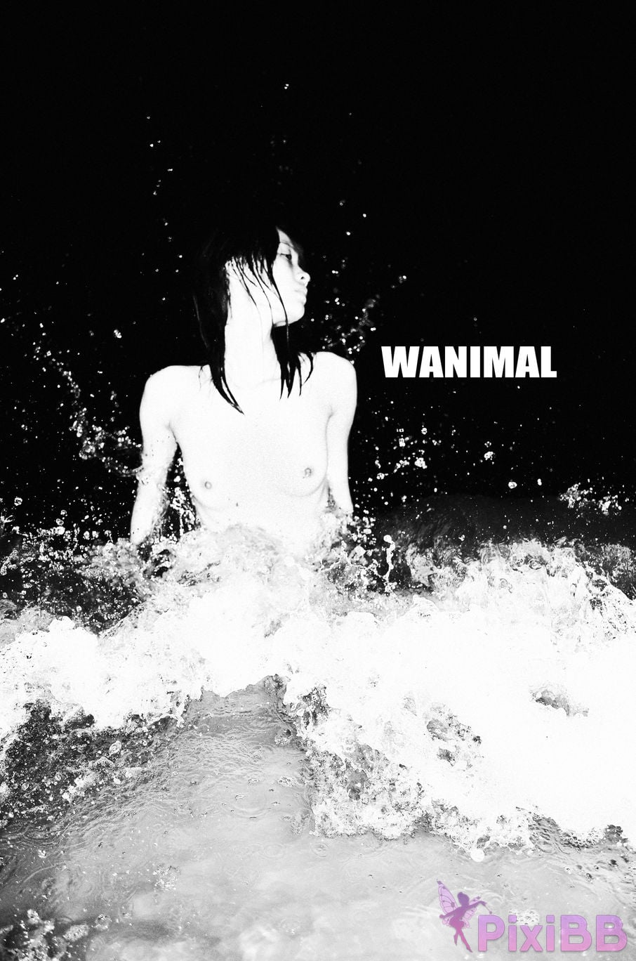 WANIMAL Wang Dong VIP Set of pictures Official product No.02 PixiBB.COM 029