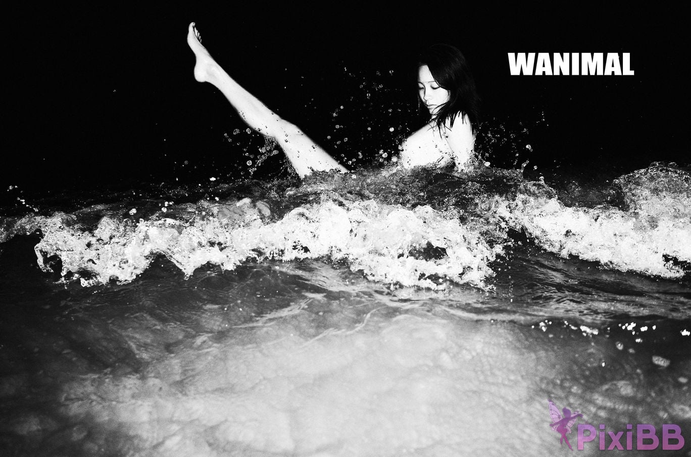 WANIMAL Wang Dong VIP Set of pictures Official product No.02 PixiBB.COM 031