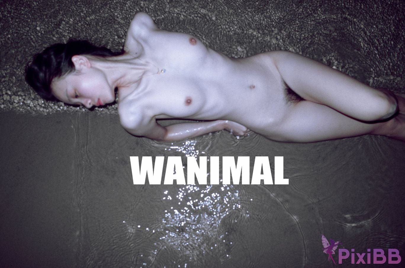 WANIMAL Wang Dong VIP Set of pictures Official product No.02 PixiBB.COM 034