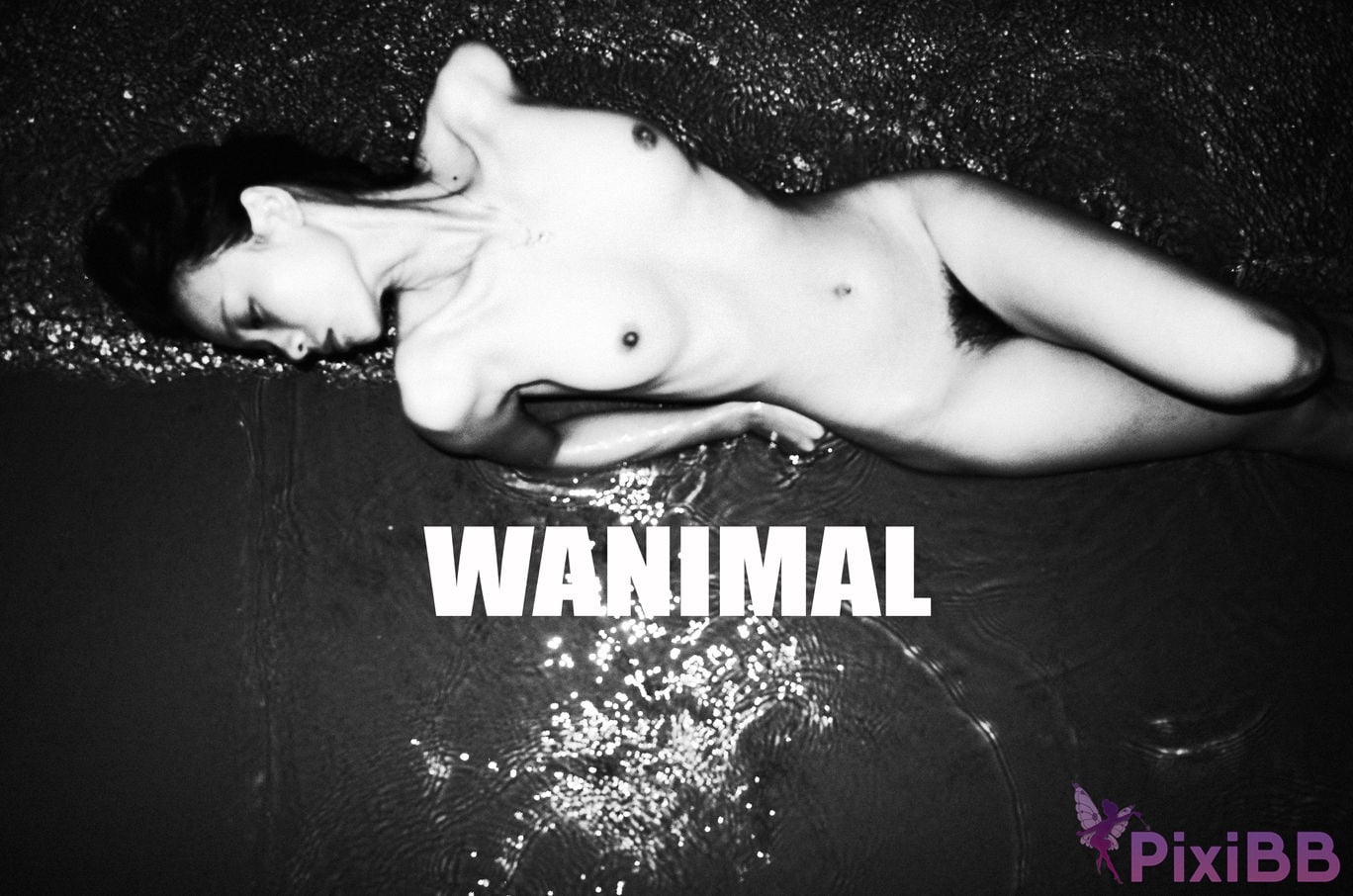 WANIMAL Wang Dong VIP Set of pictures Official product No.02 PixiBB.COM 035