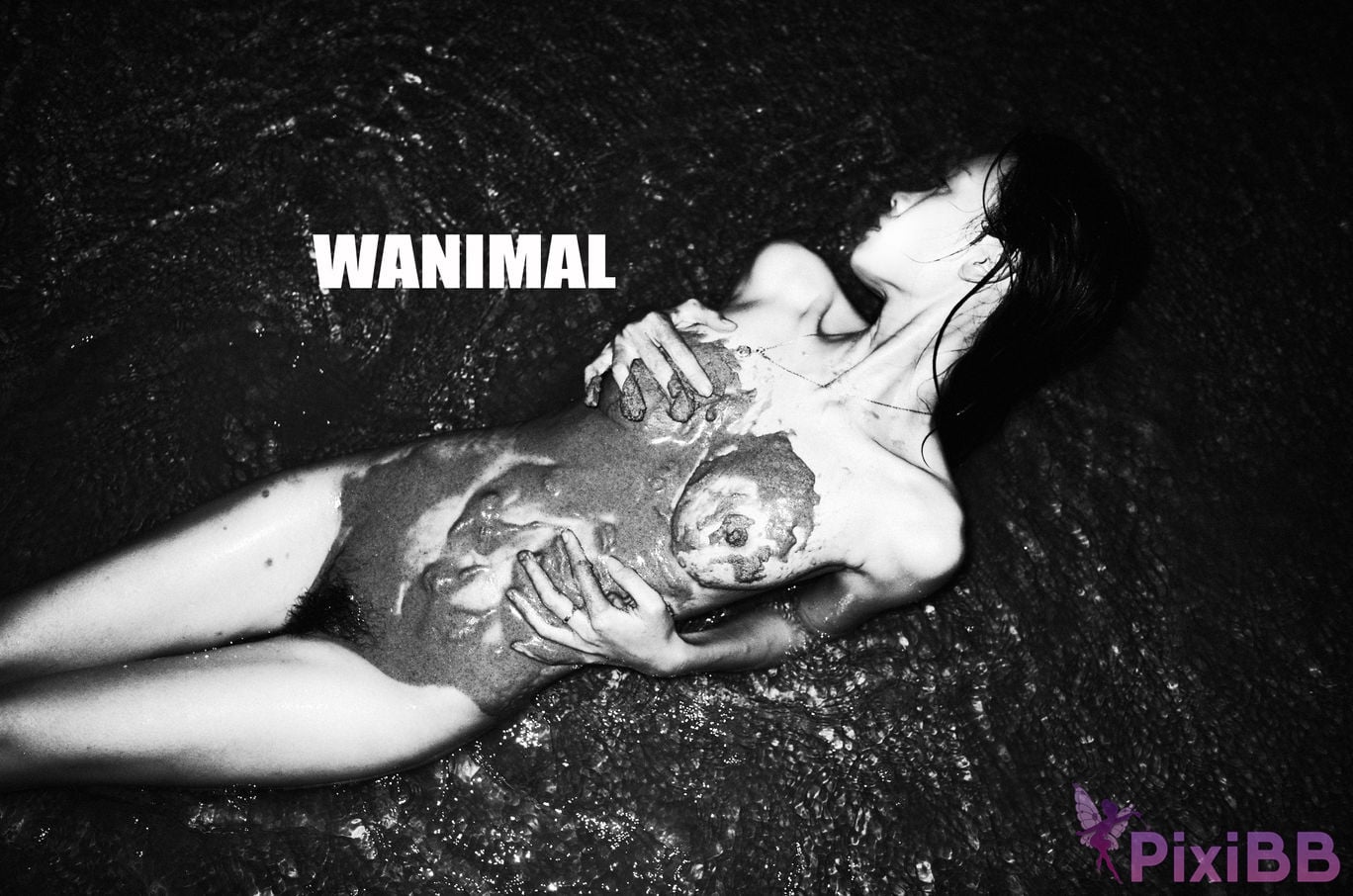 WANIMAL Wang Dong VIP Set of pictures Official product No.02 PixiBB.COM 037