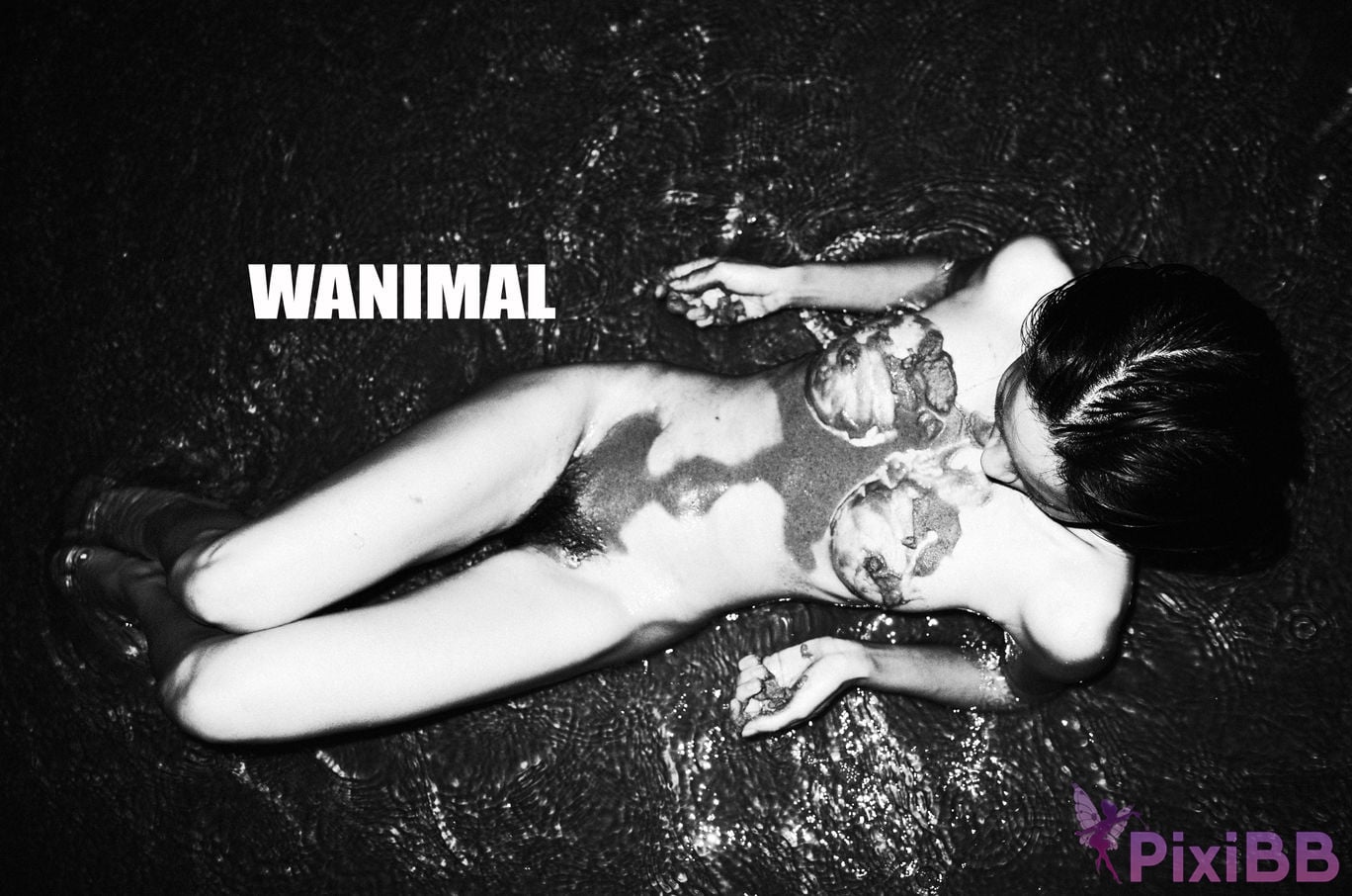 WANIMAL Wang Dong VIP Set of pictures Official product No.02 PixiBB.COM 039
