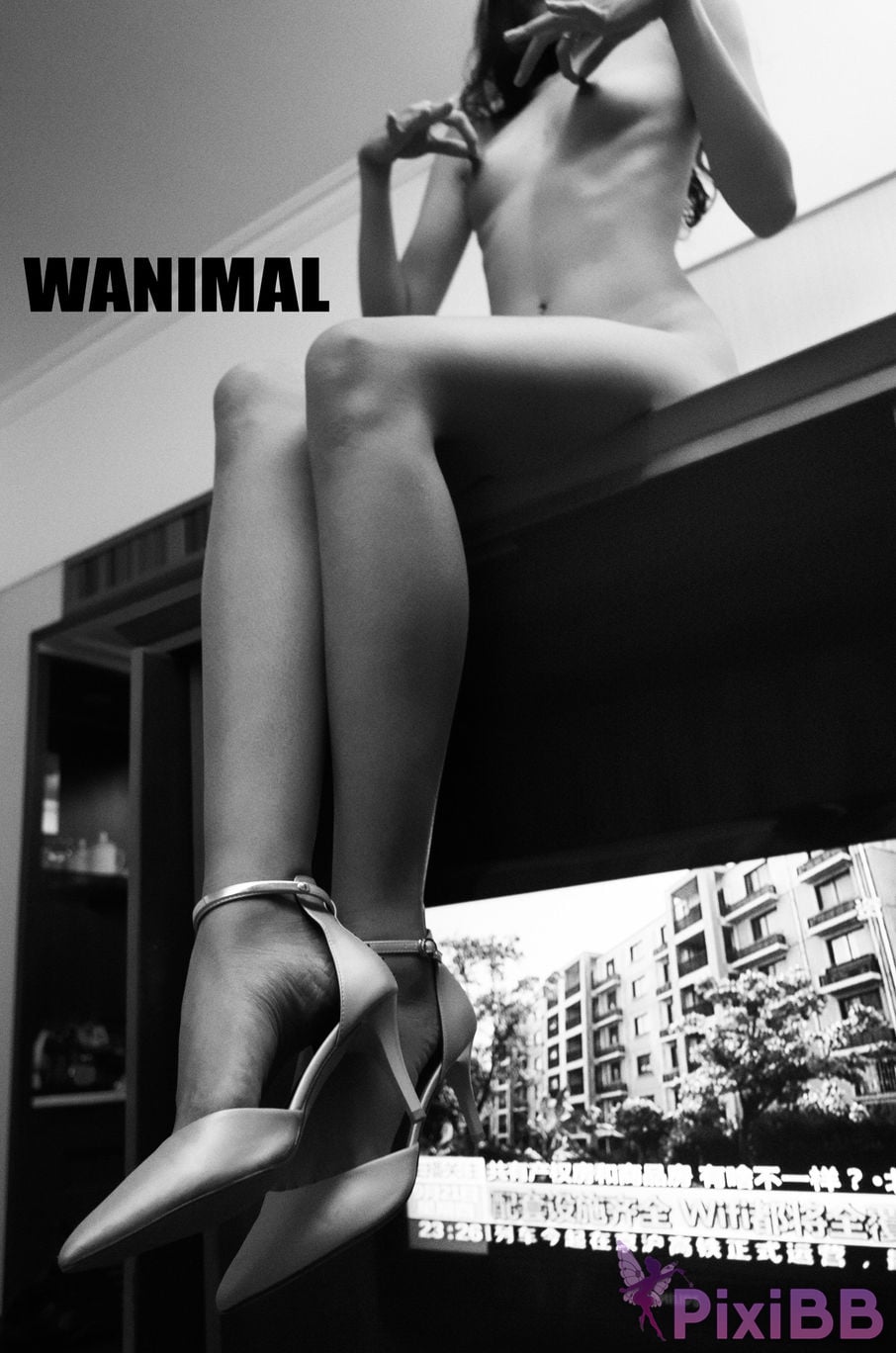 WANIMAL Wang Dong VIP Set of pictures Official product No.02 PixiBB.COM 053