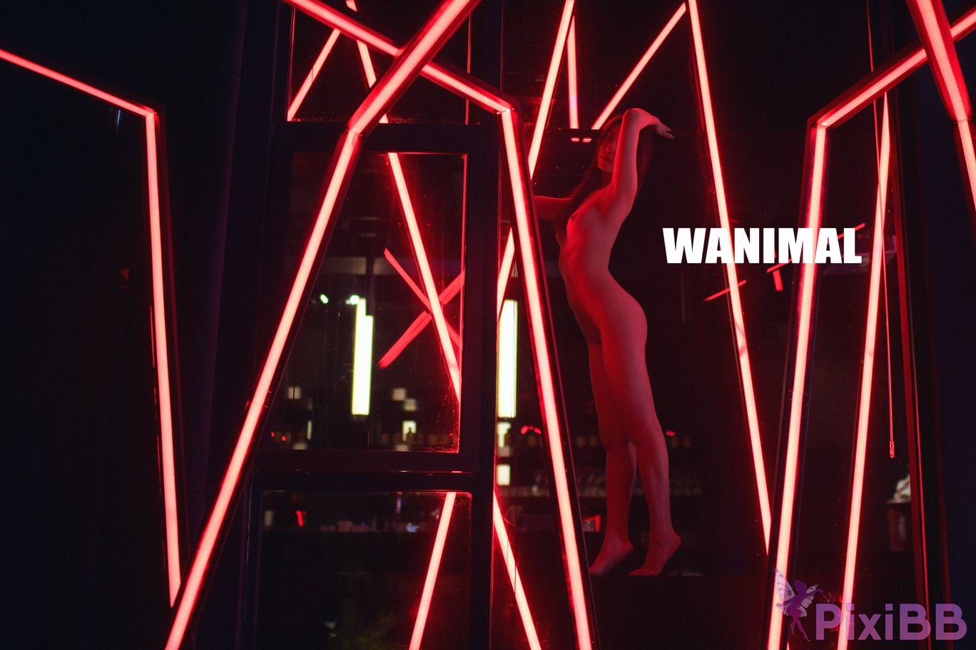 WANIMAL Wang Dong VIP Set of pictures Official product No.02 PixiBB.COM 072