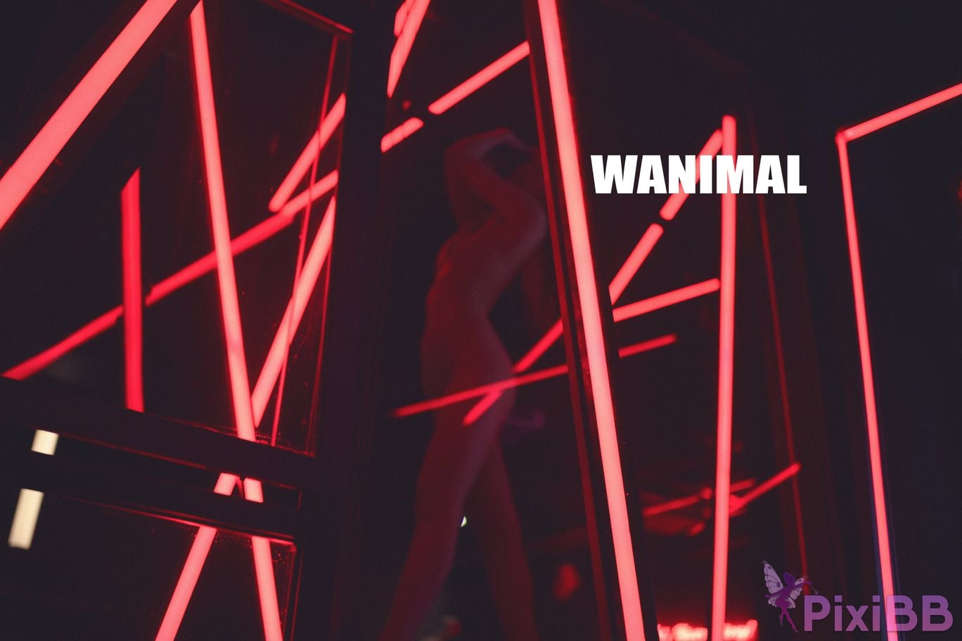 WANIMAL Wang Dong VIP Set of pictures Official product No.02 PixiBB.COM 073
