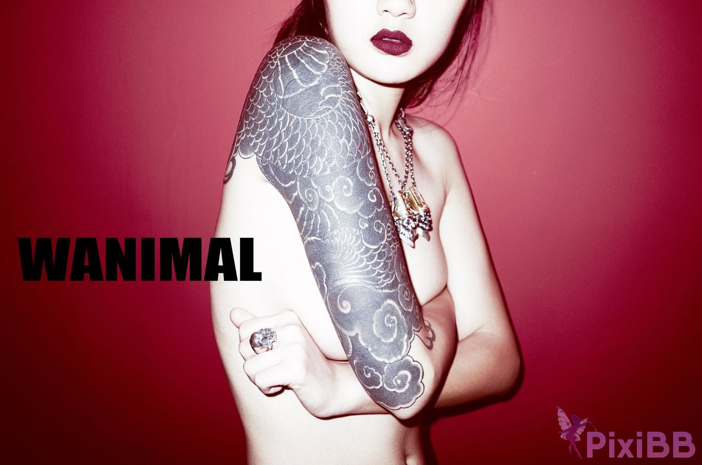 WANIMAL Wang Dong VIP Set of pictures Official product No.02 PixiBB.COM 078