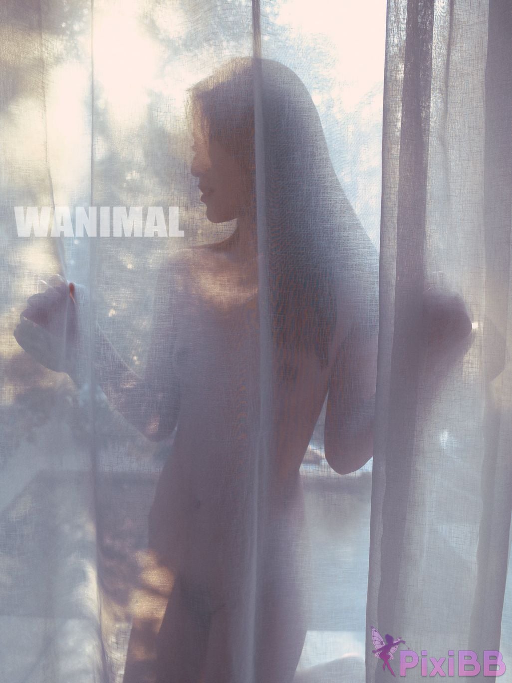 WANIMAL Wang Dong VIP Set of pictures Official product No.02 PixiBB.COM 094