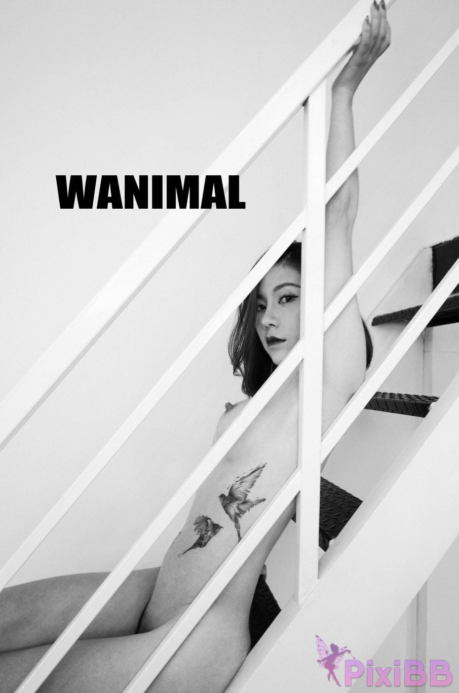 WANIMAL Wang Dong VIP Set of pictures Official product No.02 PixiBB.COM 100