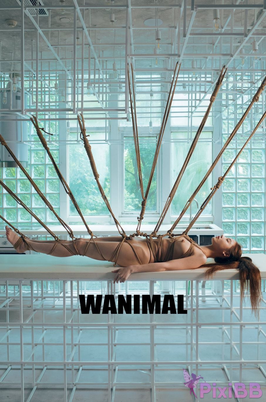 WANIMAL Wang Dong VIP Set of pictures Official product No.02 PixiBB.COM 128