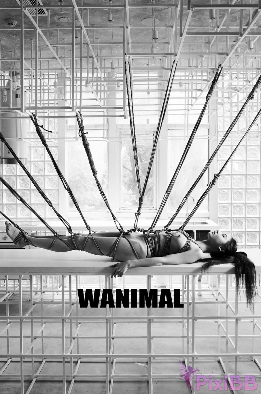 WANIMAL Wang Dong VIP Set of pictures Official product No.02 PixiBB.COM 129