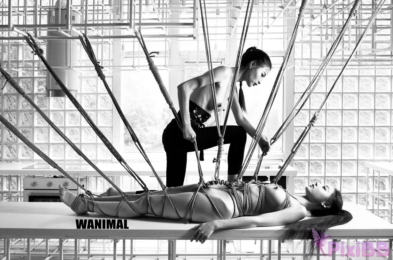 WANIMAL Wang Dong VIP Set of pictures Official product No.02 PixiBB.COM 135