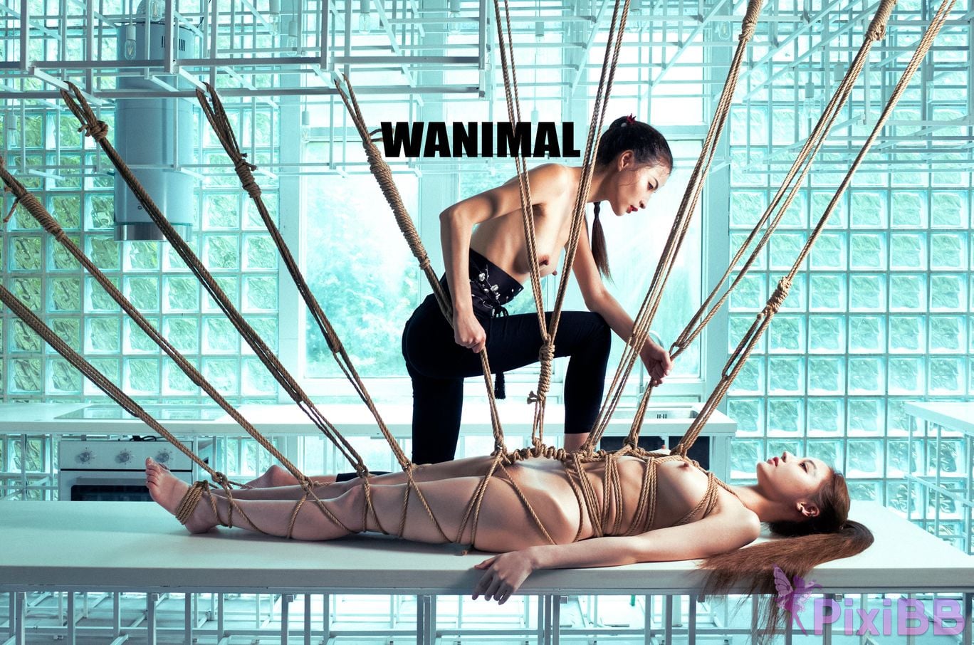 WANIMAL Wang Dong VIP Set of pictures Official product No.02 PixiBB.COM 136