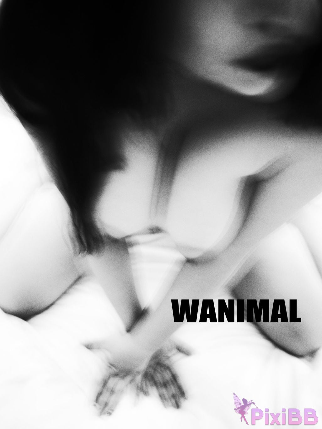 OtherXXX WANIMAL Wang Dong VIP Set of pictures Official product No.08 PixiBB.COM 012