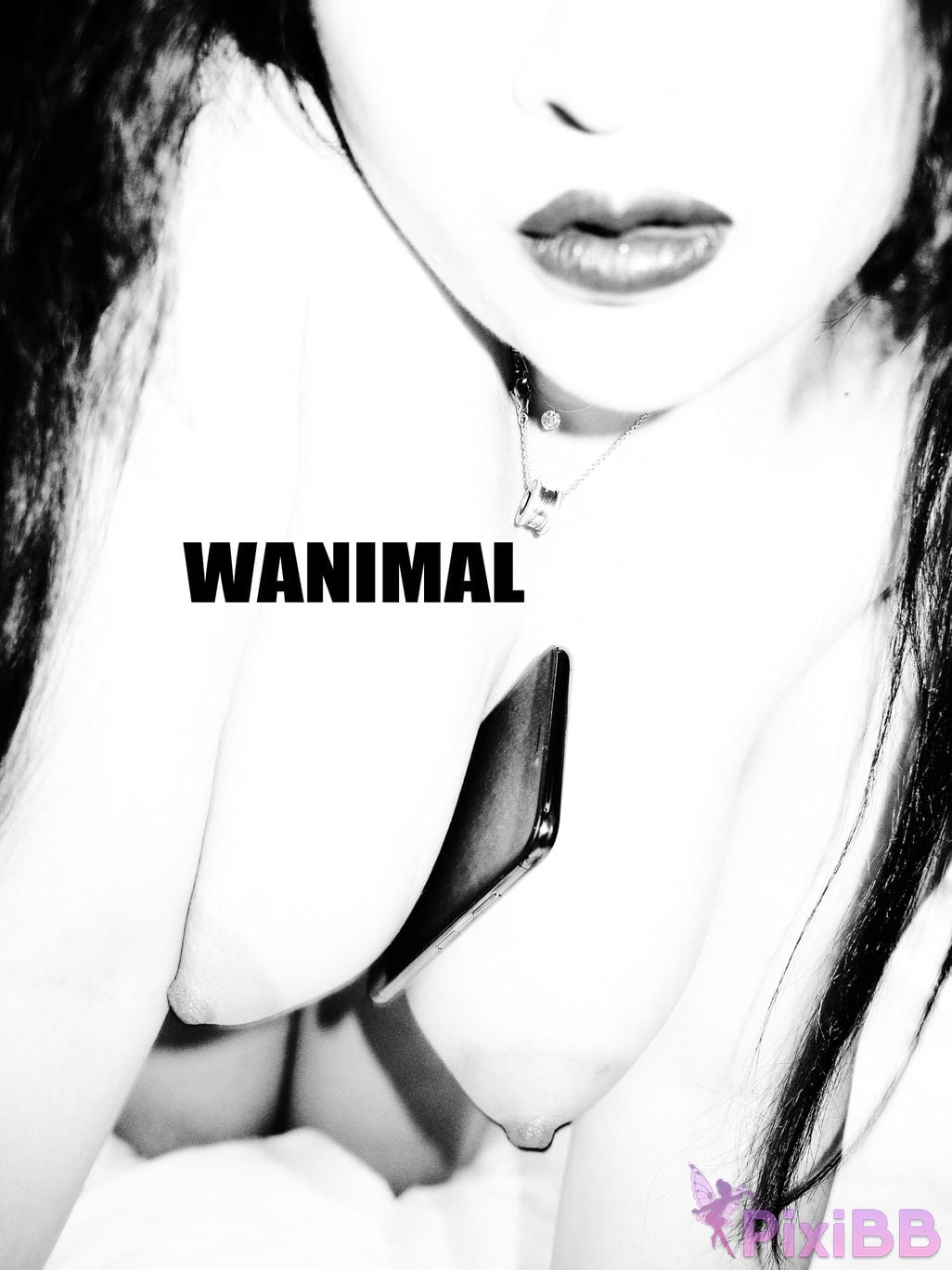 OtherXXX WANIMAL Wang Dong VIP Set of pictures Official product No.08 PixiBB.COM 018
