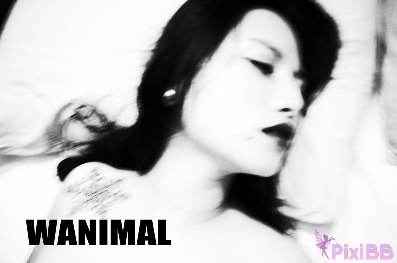 OtherXXX WANIMAL Wang Dong VIP Set of pictures Official product No.08 PixiBB.COM 022