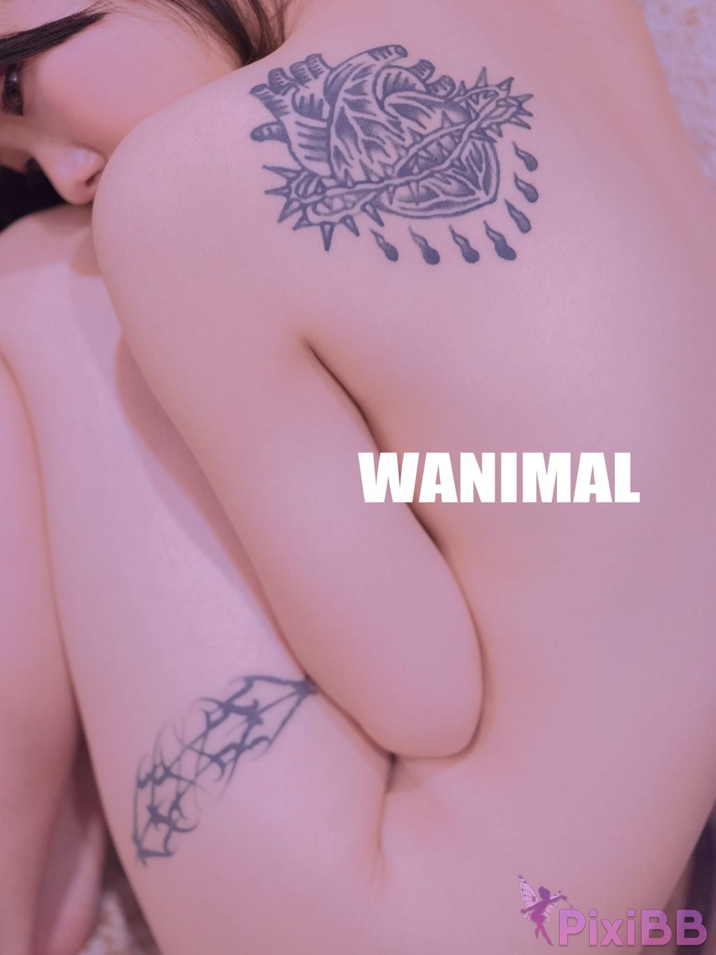 OtherXXX WANIMAL Wang Dong VIP Set of pictures Official product No.08 PixiBB.COM 025