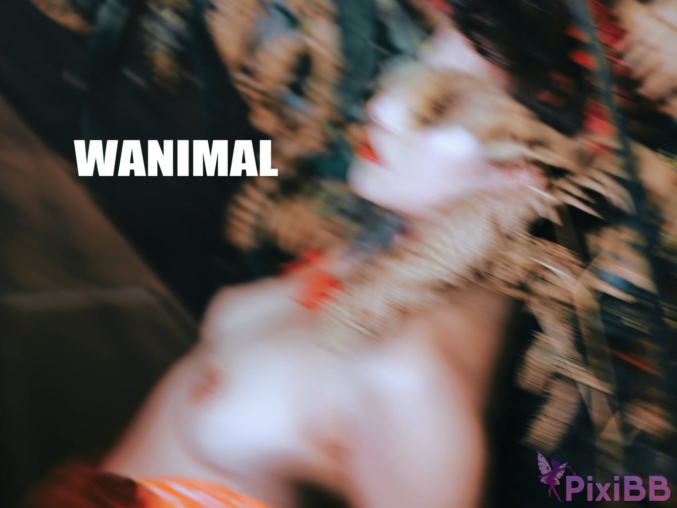 OtherXXX WANIMAL Wang Dong VIP Set of pictures Official product No.08 PixiBB.COM 028