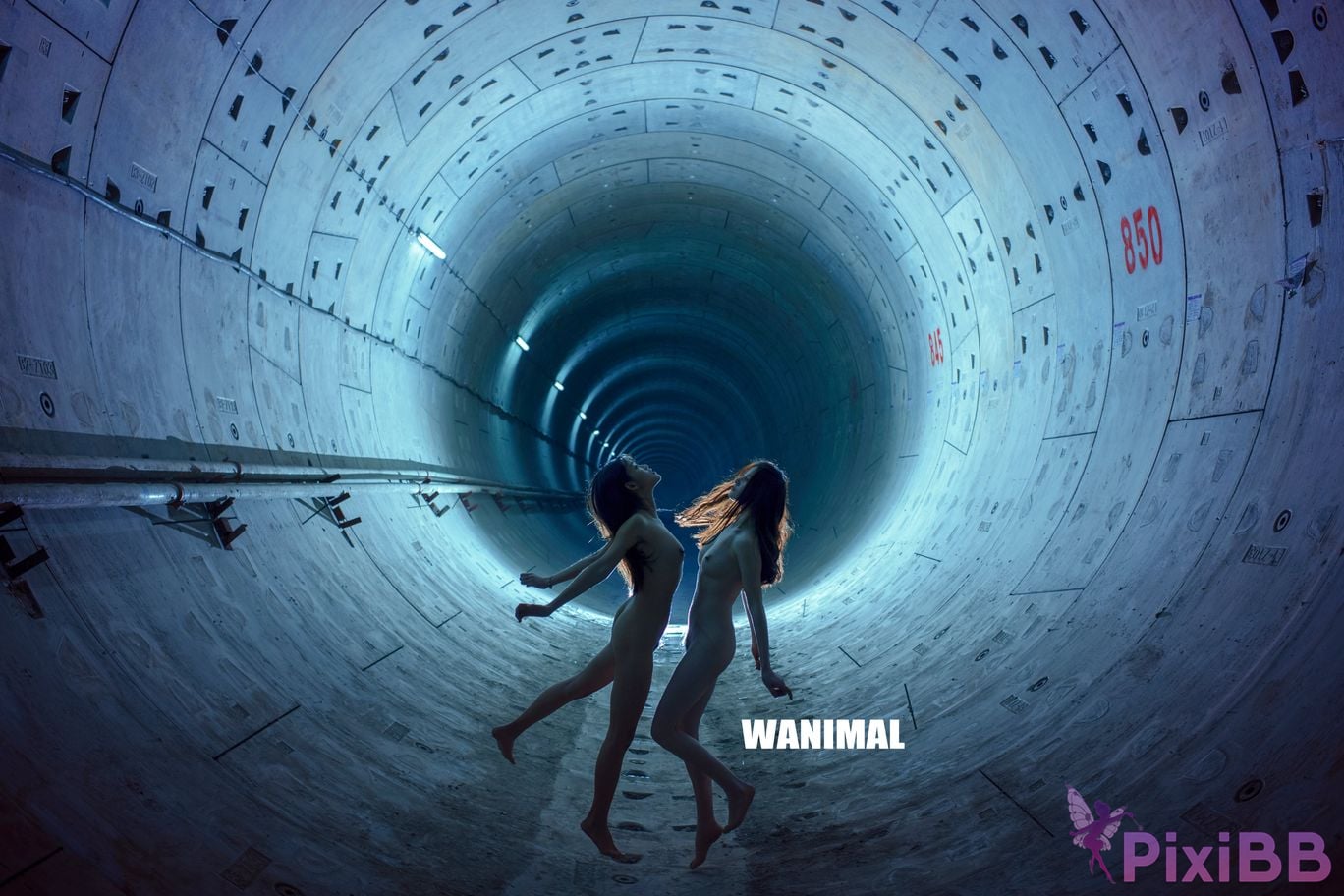OtherXXX WANIMAL Wang Dong VIP Set of pictures Official product No.08 PixiBB.COM 063