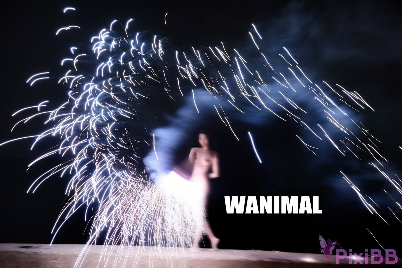 OtherXXX WANIMAL Wang Dong VIP Set of pictures Official product No.08 PixiBB.COM 069