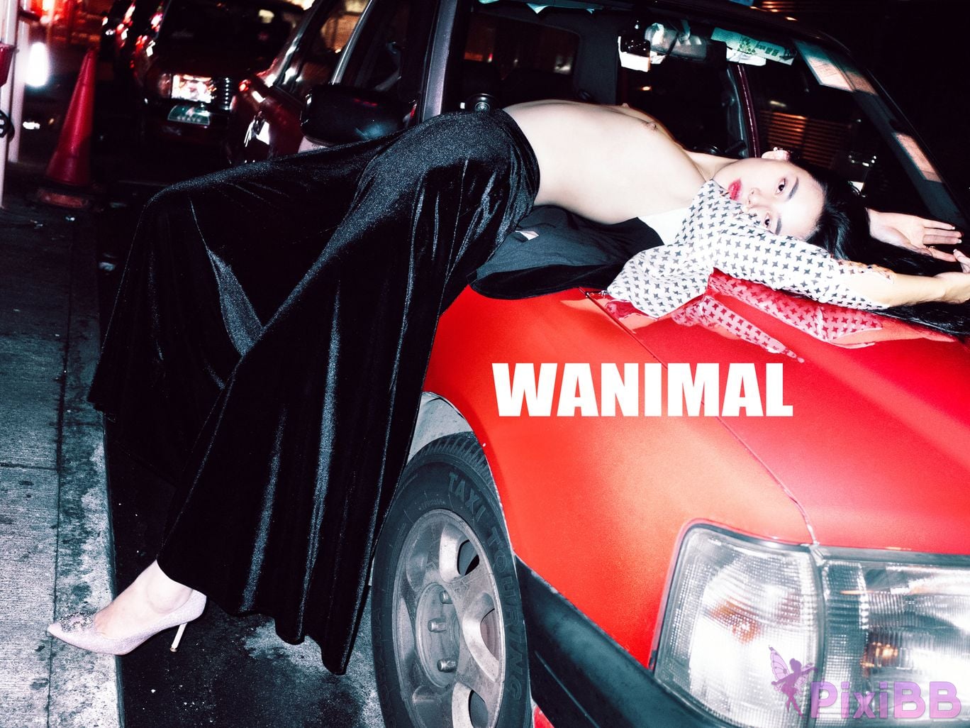 OtherXXX WANIMAL Wang Dong VIP Set of pictures Official product No.08 PixiBB.COM 076