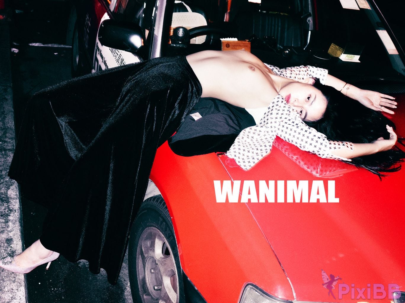 OtherXXX WANIMAL Wang Dong VIP Set of pictures Official product No.08 PixiBB.COM 077