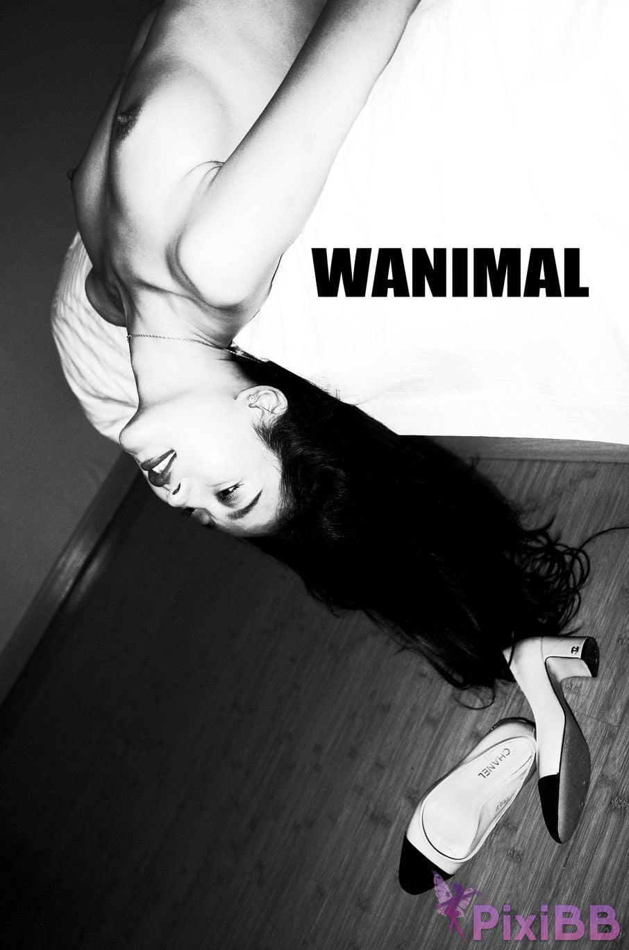 OtherXXX WANIMAL Wang Dong VIP Set of pictures Official product No.08 PixiBB.COM 086
