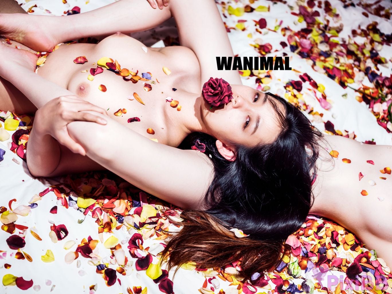 OtherXXX WANIMAL Wang Dong VIP Set of pictures Official product No.08 PixiBB.COM 105
