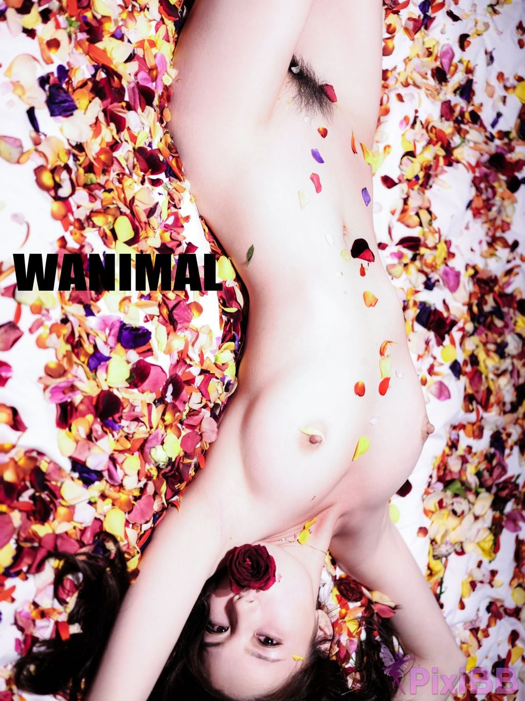 OtherXXX WANIMAL Wang Dong VIP Set of pictures Official product No.08 PixiBB.COM 112