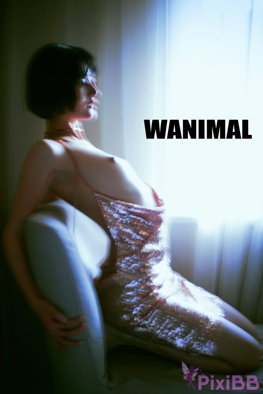 OtherXXX WANIMAL Wang Dong VIP Set of pictures Official product No.07 PixiBB.COM 001
