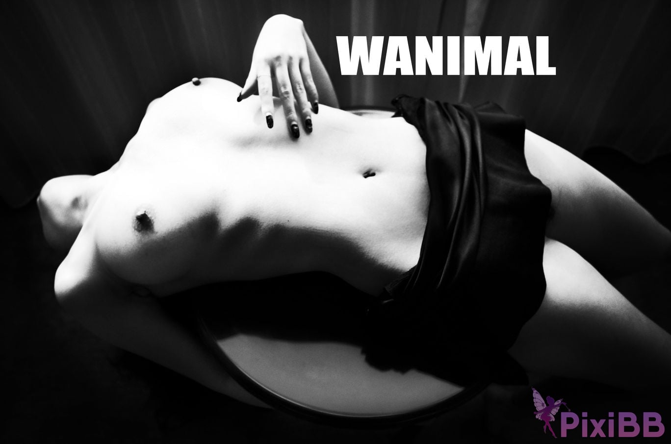 OtherXXX WANIMAL Wang Dong VIP Set of pictures Official product No.07 PixiBB.COM 037