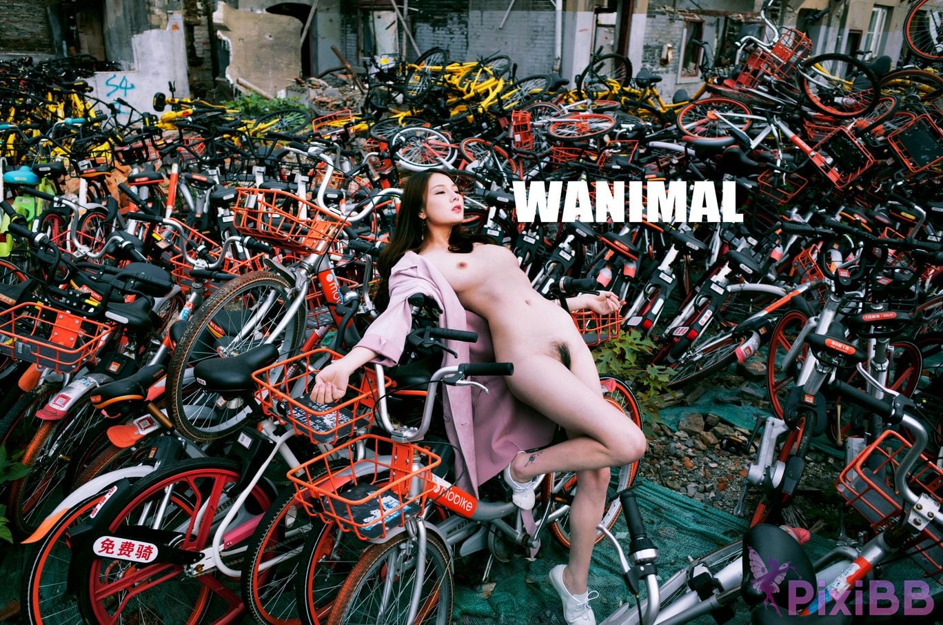 OtherXXX WANIMAL Wang Dong VIP Set of pictures Official product No.07 PixiBB.COM 047