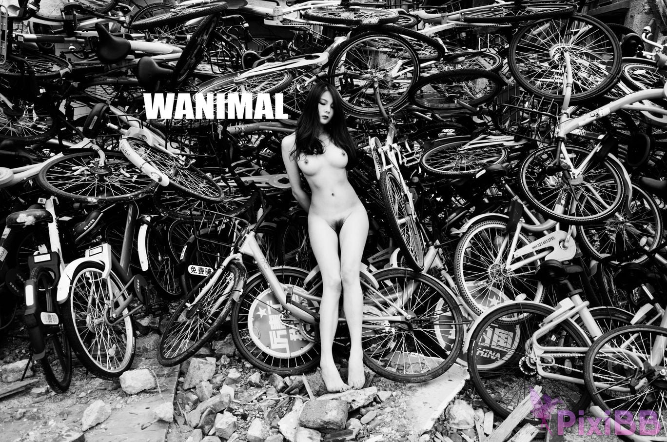 OtherXXX WANIMAL Wang Dong VIP Set of pictures Official product No.07 PixiBB.COM 057