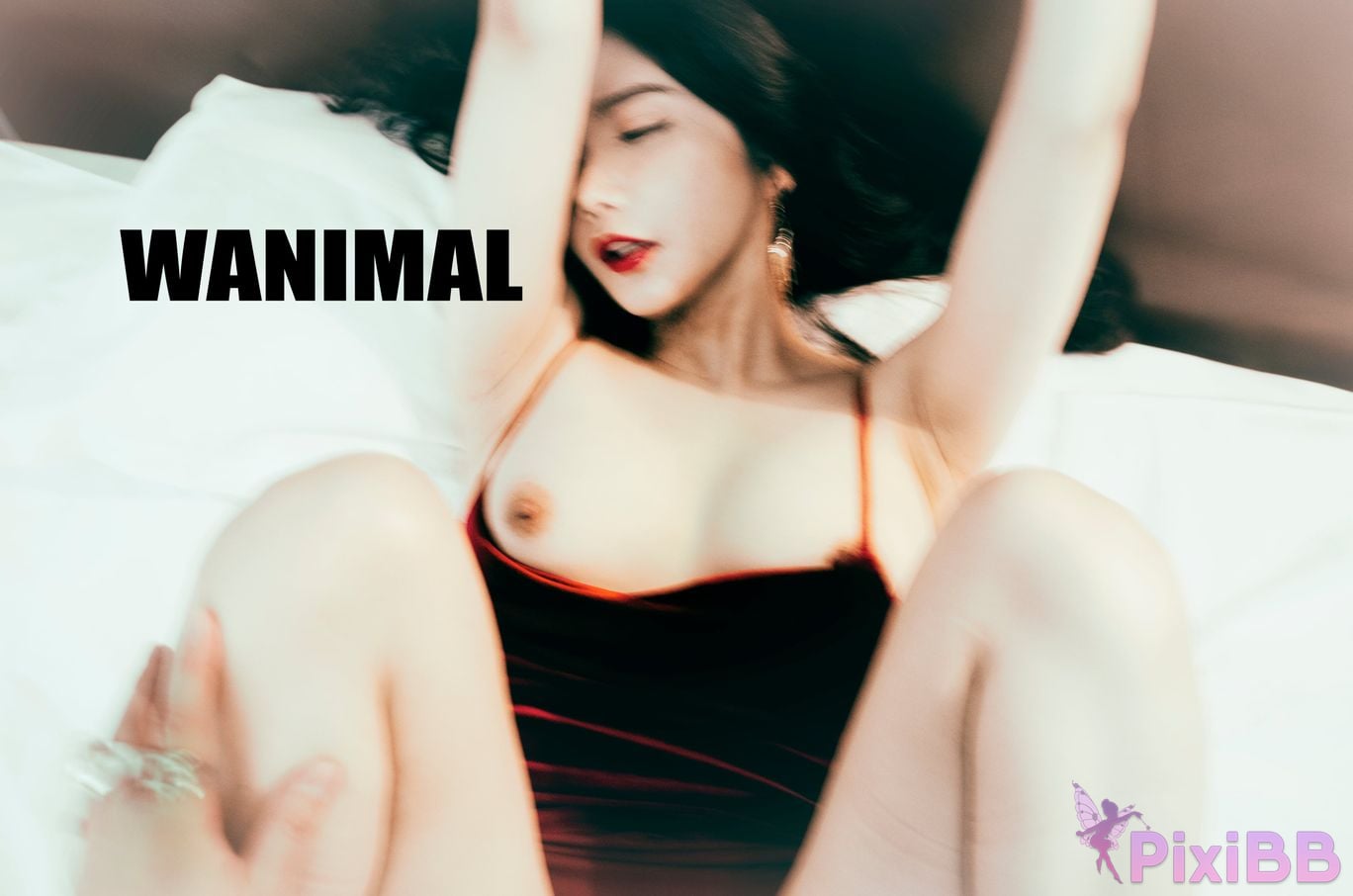 OtherXXX WANIMAL Wang Dong VIP Set of pictures Official product No.07 PixiBB.COM 066