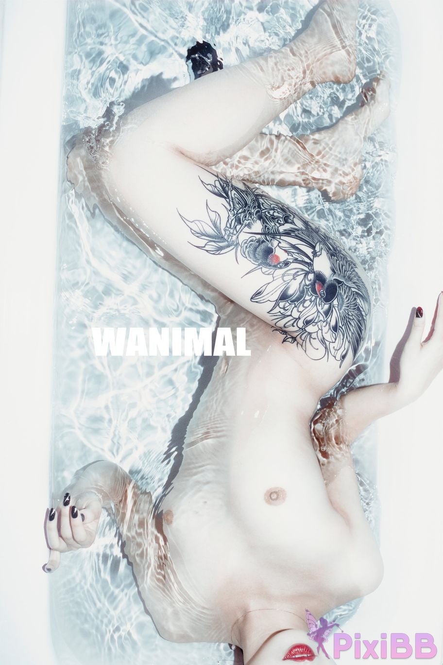 OtherXXX WANIMAL Wang Dong VIP Set of pictures Official product No.07 PixiBB.COM 068