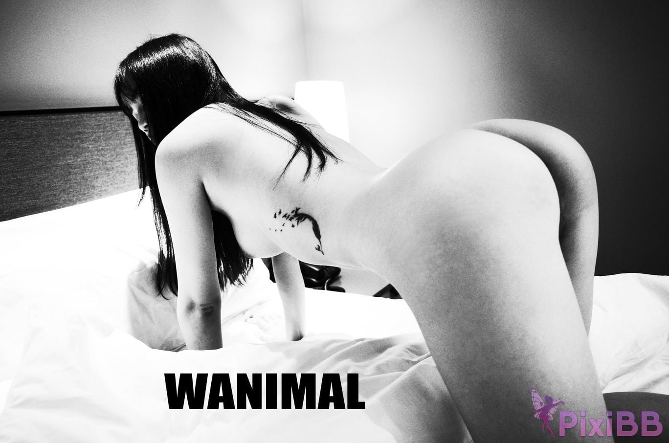 OtherXXX WANIMAL Wang Dong VIP Set of pictures Official product No.07 PixiBB.COM 073