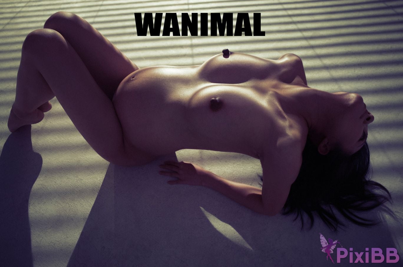 OtherXXX WANIMAL Wang Dong VIP Set of pictures Official product No.07 PixiBB.COM 114