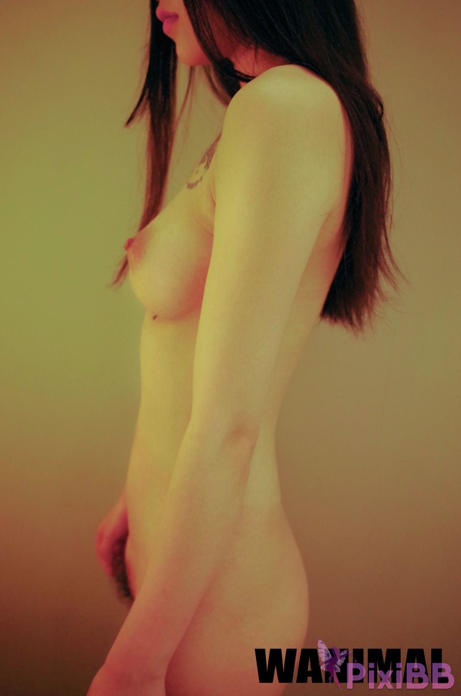 OtherXXX WANIMAL Wang Dong VIP Set of pictures Official product No.07 PixiBB.COM 120