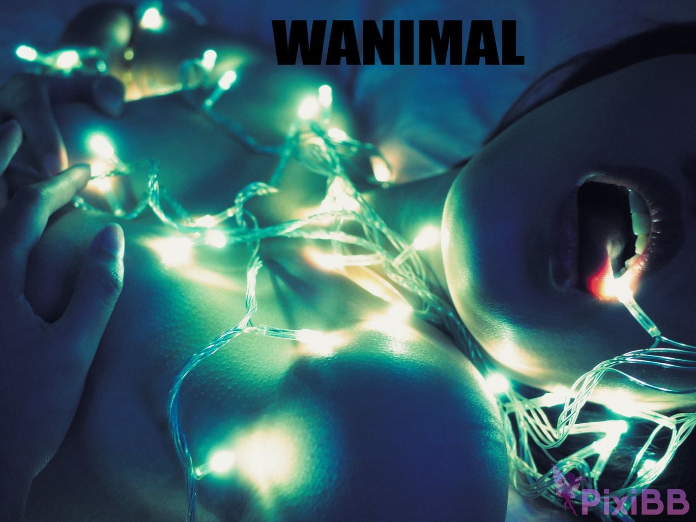 OtherXXX WANIMAL Wang Dong VIP Set of pictures Official product No.07 PixiBB.COM 124