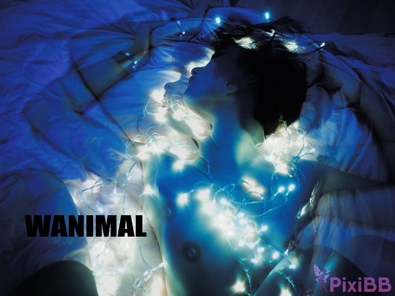 OtherXXX WANIMAL Wang Dong VIP Set of pictures Official product No.07 PixiBB.COM 126