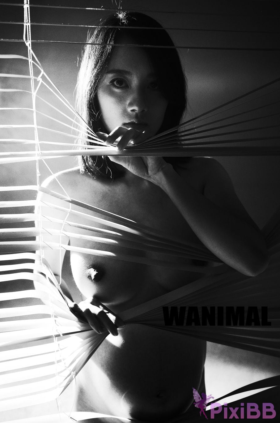 OtherXXX WANIMAL Wang Dong VIP Set of pictures Official product No.07 PixiBB.COM 142