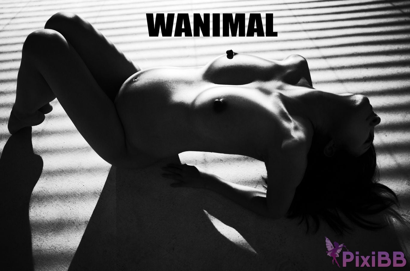 OtherXXX WANIMAL Wang Dong VIP Set of pictures Official product No.07 PixiBB.COM 145