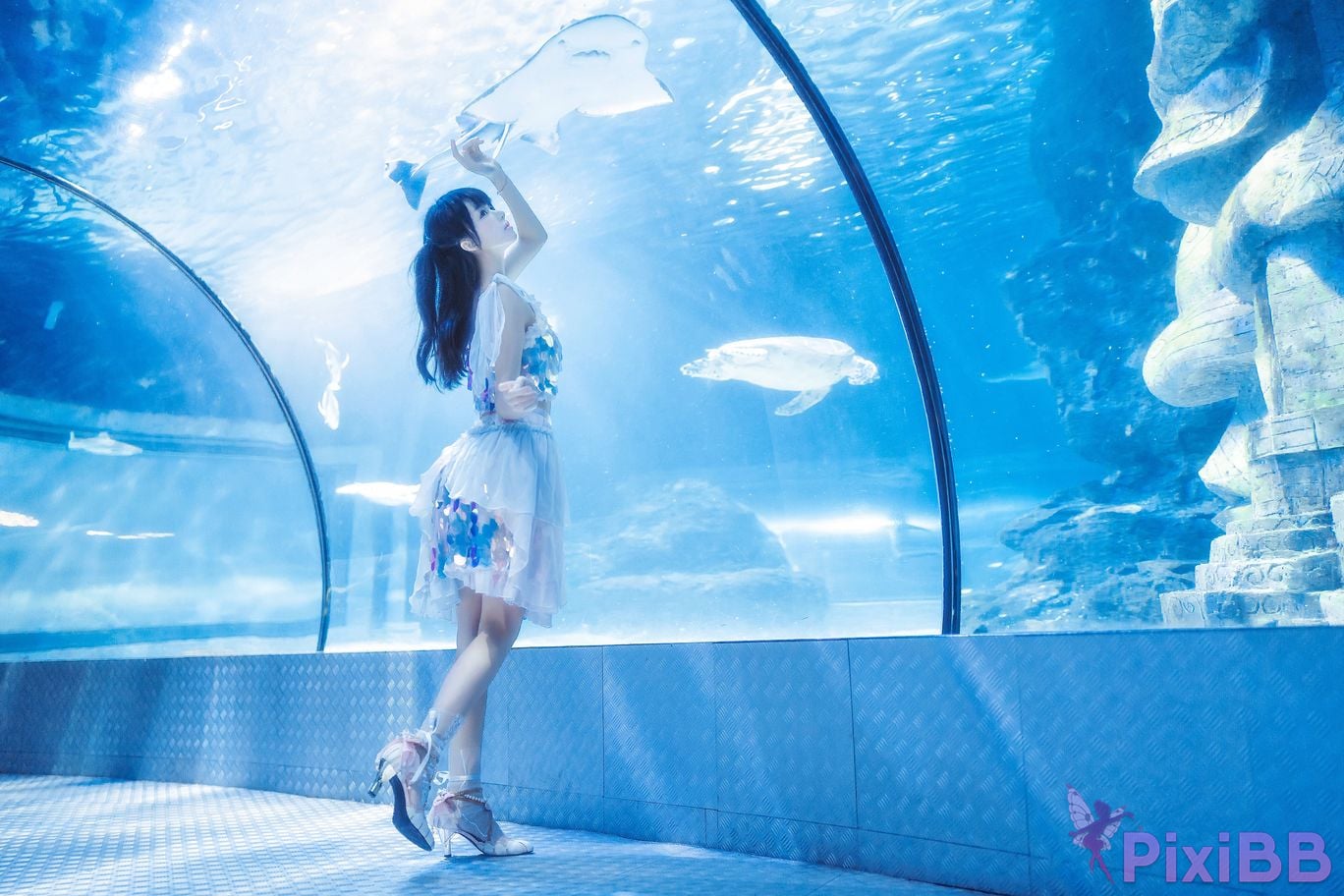 Coser Peach Meow aquarium PixiBB.COM 011