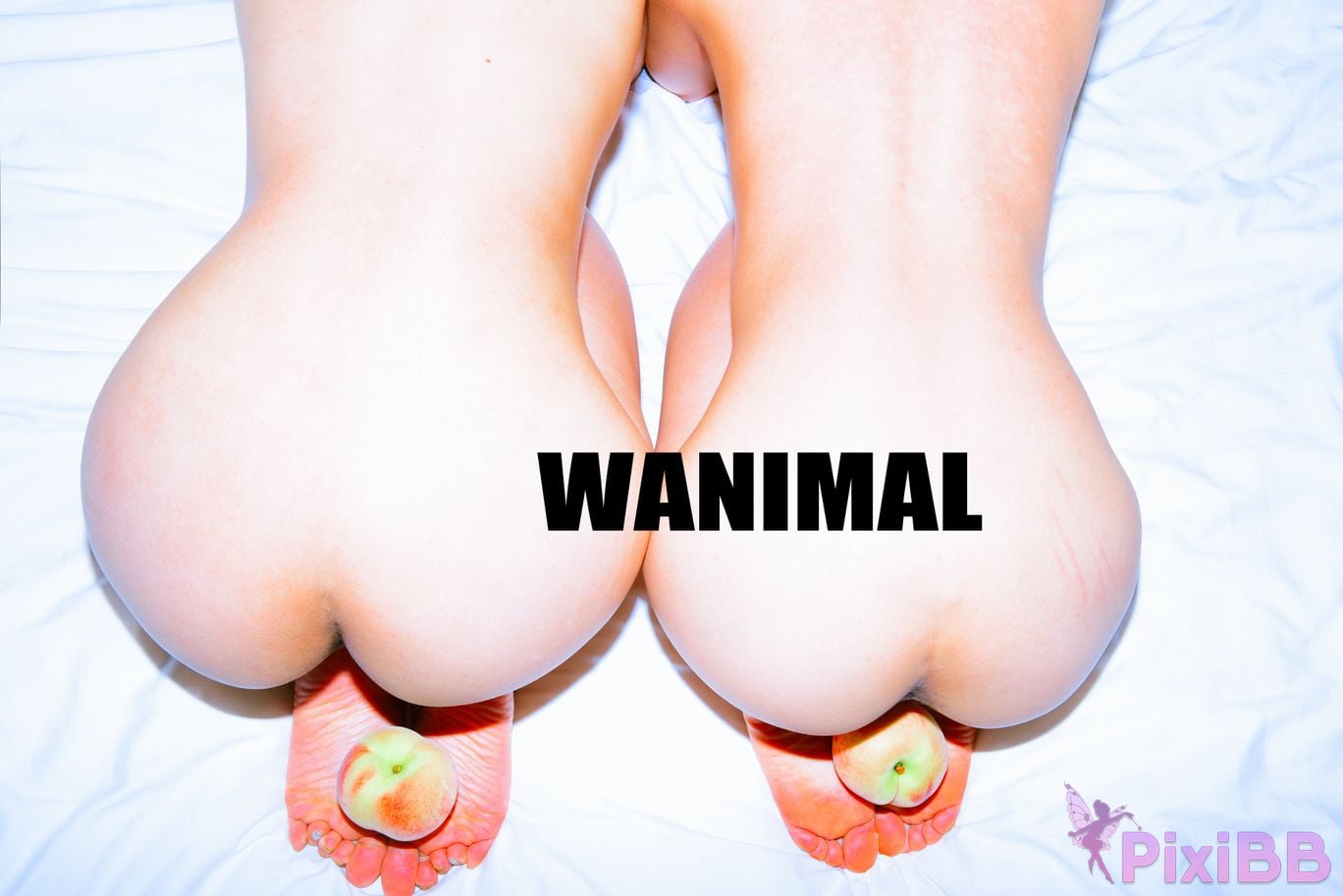 OtherXXX WANIMAL Wang Dong VIP Set of pictures Official product No.11 PixiBB.COM 001